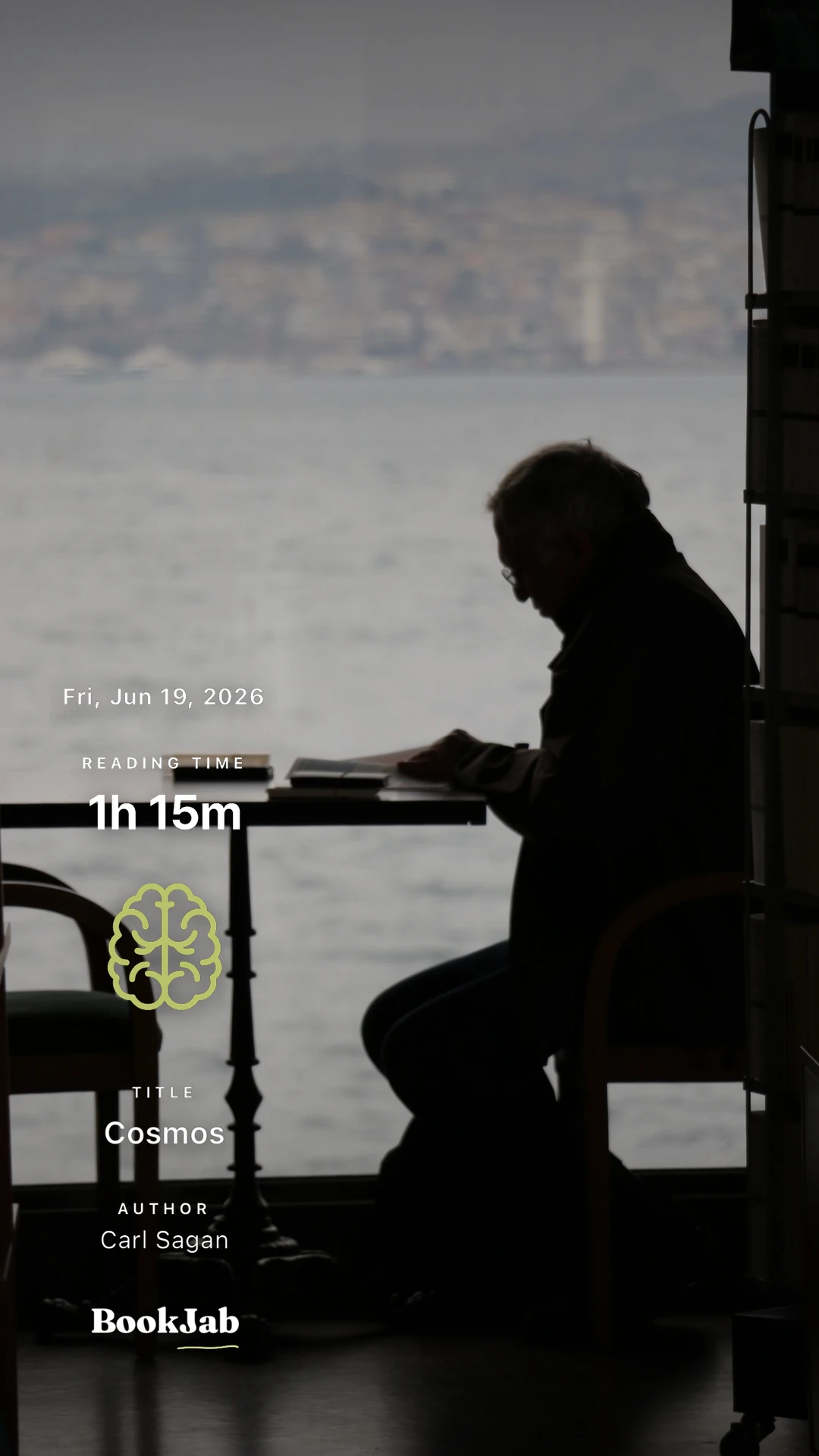 Cosmos · 1h 15m — a silhouette by the window