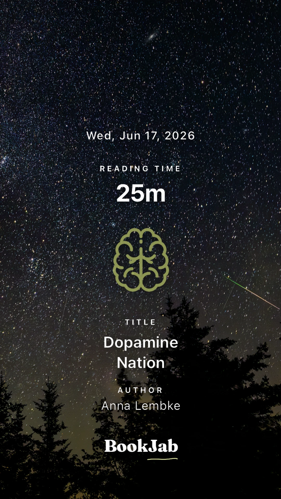 Dopamine Nation · 25m — Perseid meteors